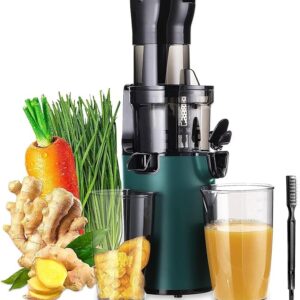 Electric Juicer Fruits Cold Press Squeezer Vegetable Processor Slow Masticating Juicer Machine 200W for Celery Carrot Slow Juicer Machine with Big Wide Chute and 800ml Juice Cup BPA-Free Easy to Clean
