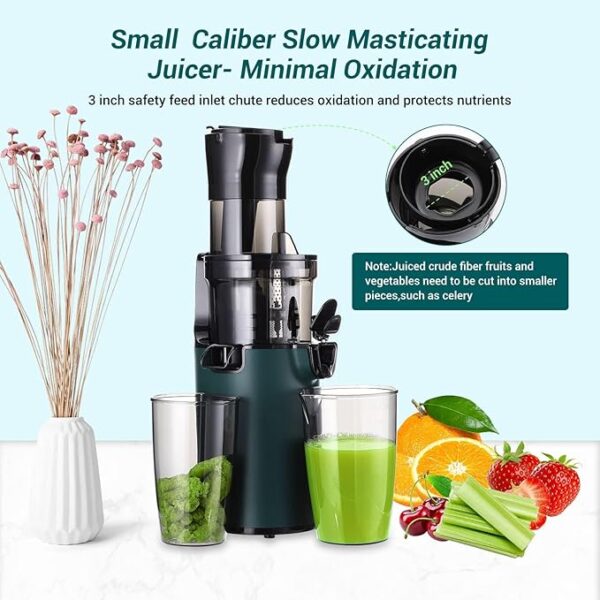 Electric Juicer Fruits Cold Press Squeezer Vegetable Processor Slow Masticating Juicer Machine 200W for Celery Carrot Slow Juicer Machine with Big Wide Chute and 800ml Juice Cup BPA-Free Easy to Clean - Image 6