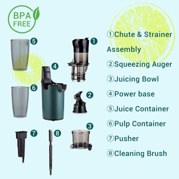 Electric Juicer Fruits Cold Press Squeezer Vegetable Processor Slow Masticating Juicer Machine 200W for Celery Carrot Slow Juicer Machine with Big Wide Chute and 800ml Juice Cup BPA-Free Easy to Clean - Image 3